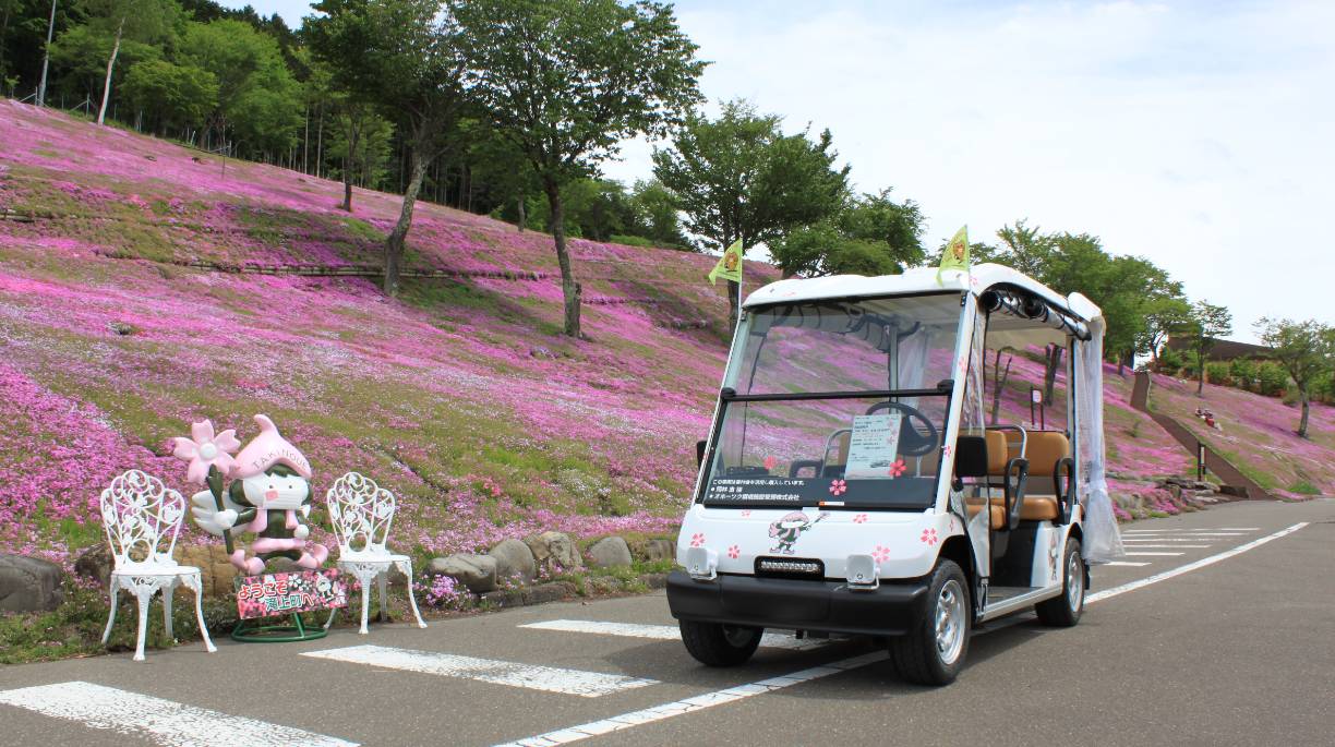 芝ざくら滝上公園 - ゴルフカー | ヤマハ発動機