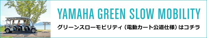 グリーンスローモビリティ(電動カート公道仕様)はコチラ