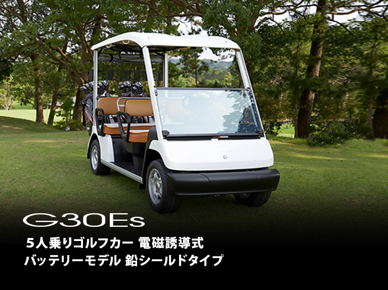 仕様：G30Es - ゴルフカー | ヤマハ発動機