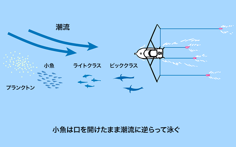 潮目に逆らって走らせるイラスト