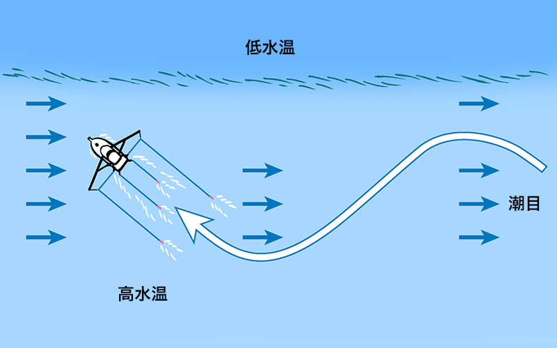 潮目では蛇行しながら走らせるイラスト