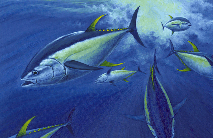 Yellowfin Tuna