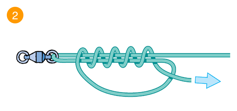 ループの中でラインの先端をアイやリングの方から4～5回巻きつける