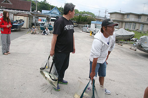 レポート写真