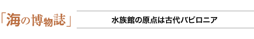 海の博物誌