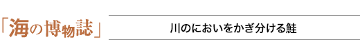 海の博物誌