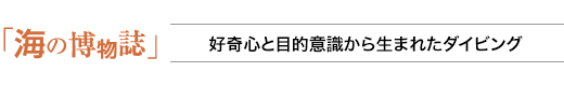 海の博物誌