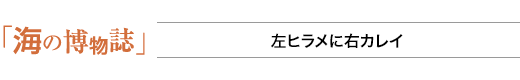 海の博物誌