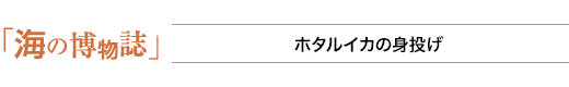 海の博物誌