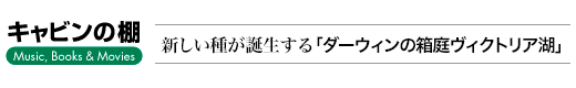 キャビンの棚