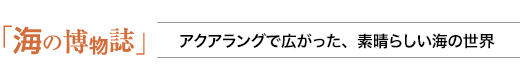 海の博物誌