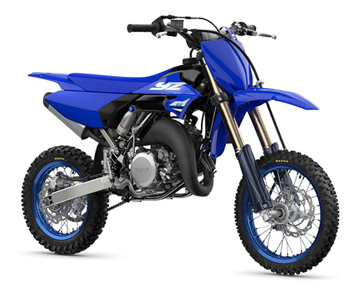 2025YZ65