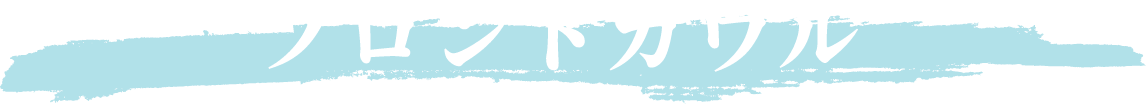 フロントカウル