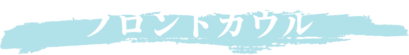 フロントカウル