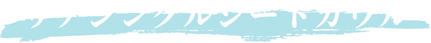 リアシングルシートカウル