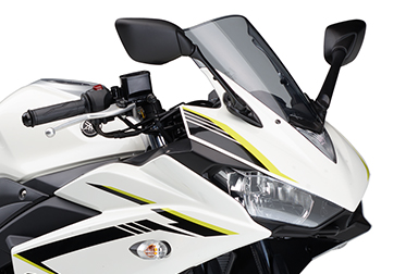 YZF-R25