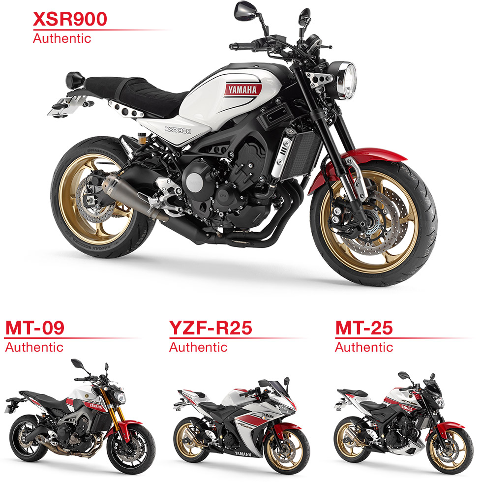 ワイズギア　XSR900　オーセンティック外装