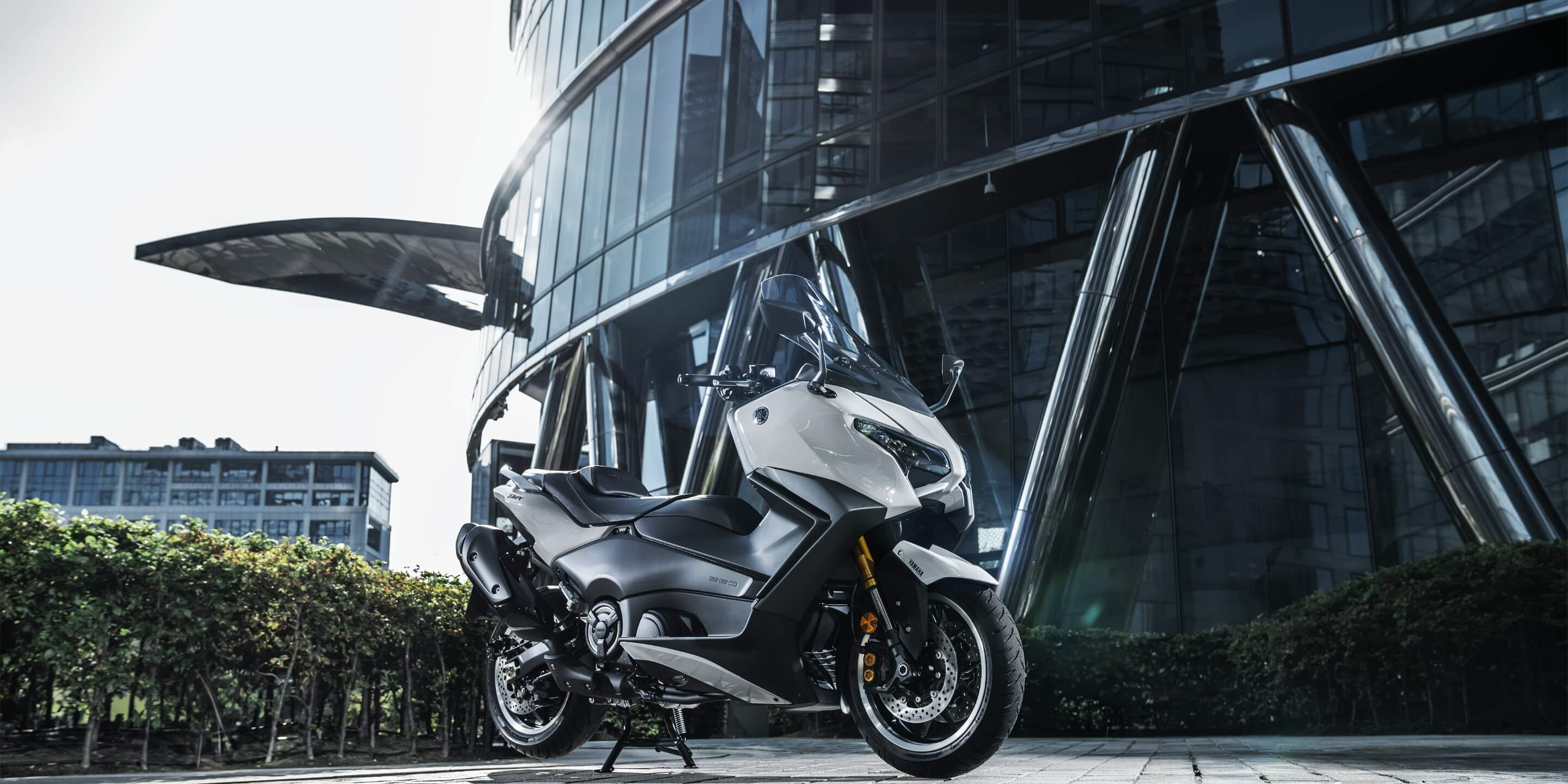 さらに成熟した雰囲気を纏う新デザイン