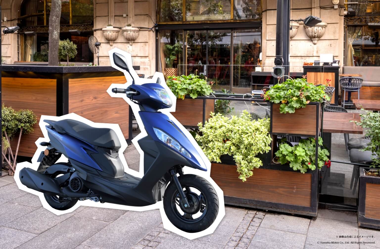 フォトライブラリー