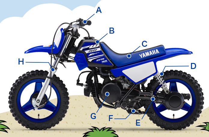 PW50
