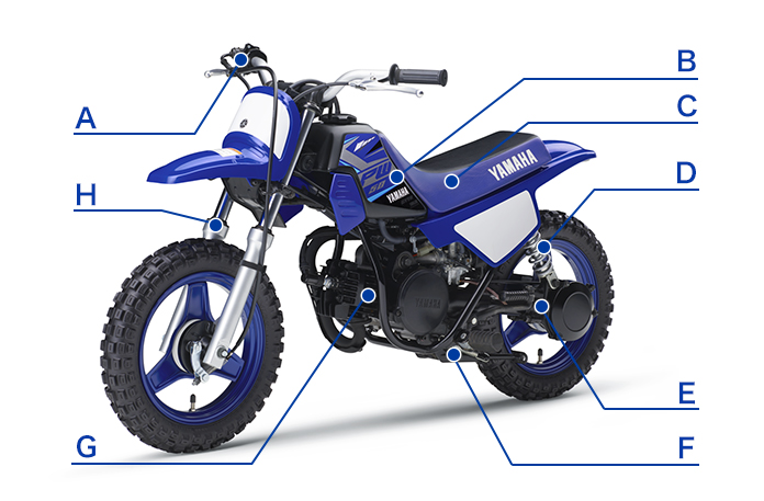 PW50