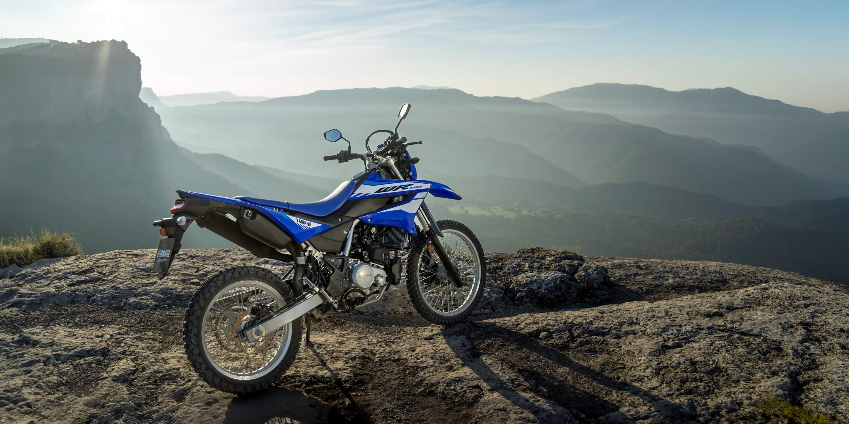 リアフェンダー