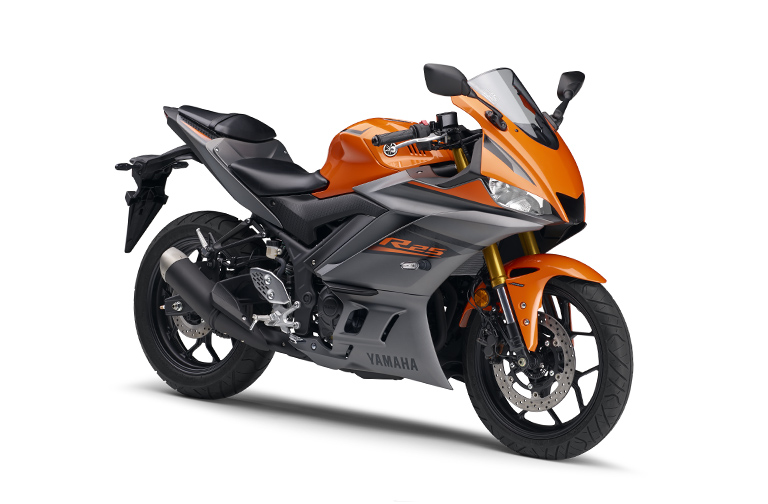 YZF-R25