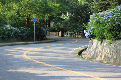 バイク初心者必見！速くなるよりも上手くなるための、柏流ライテク論 第4回「夏のワインディングで、このテクだけは習得しよう」