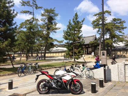 R25と法隆寺