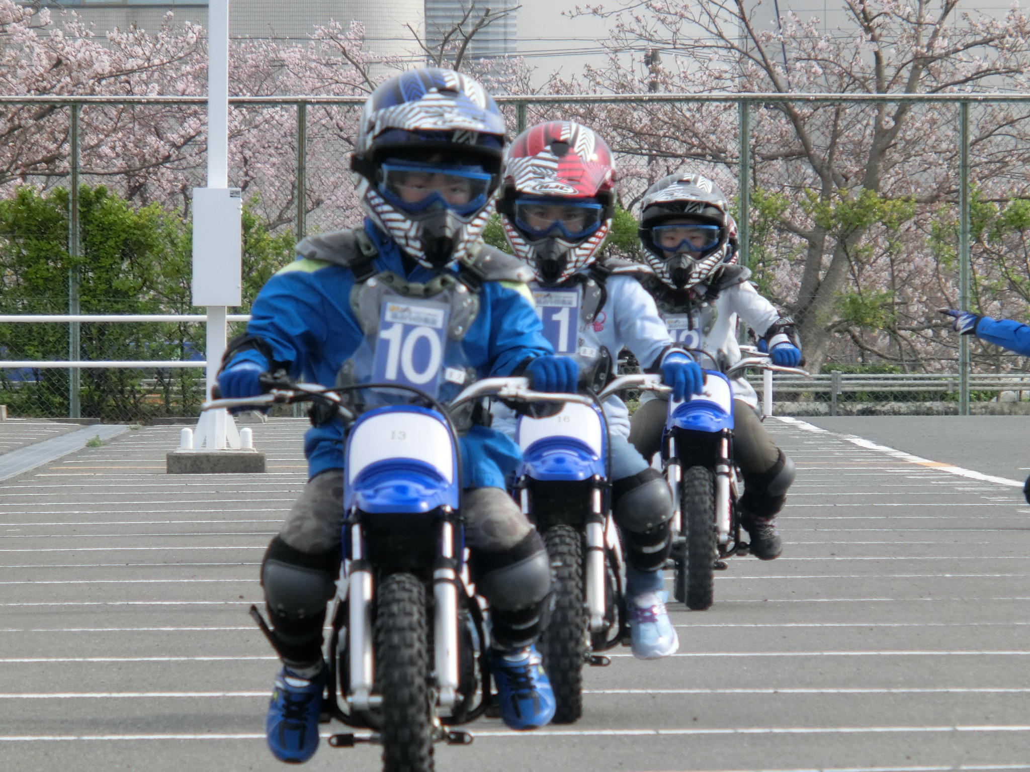 成長と感動を得られます