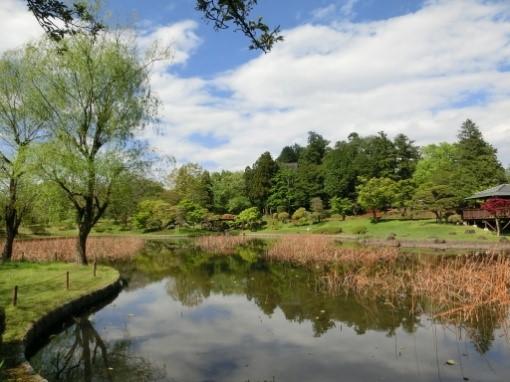 目的地の八坂公園では、大きな蓮池と新緑で疲れが癒された様子でした♪