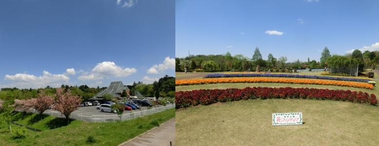 「自然とともだち」のキャッチフレーズで有名な自然と触れ合える千葉県野田市の清水公園でレッスンを行ないました。