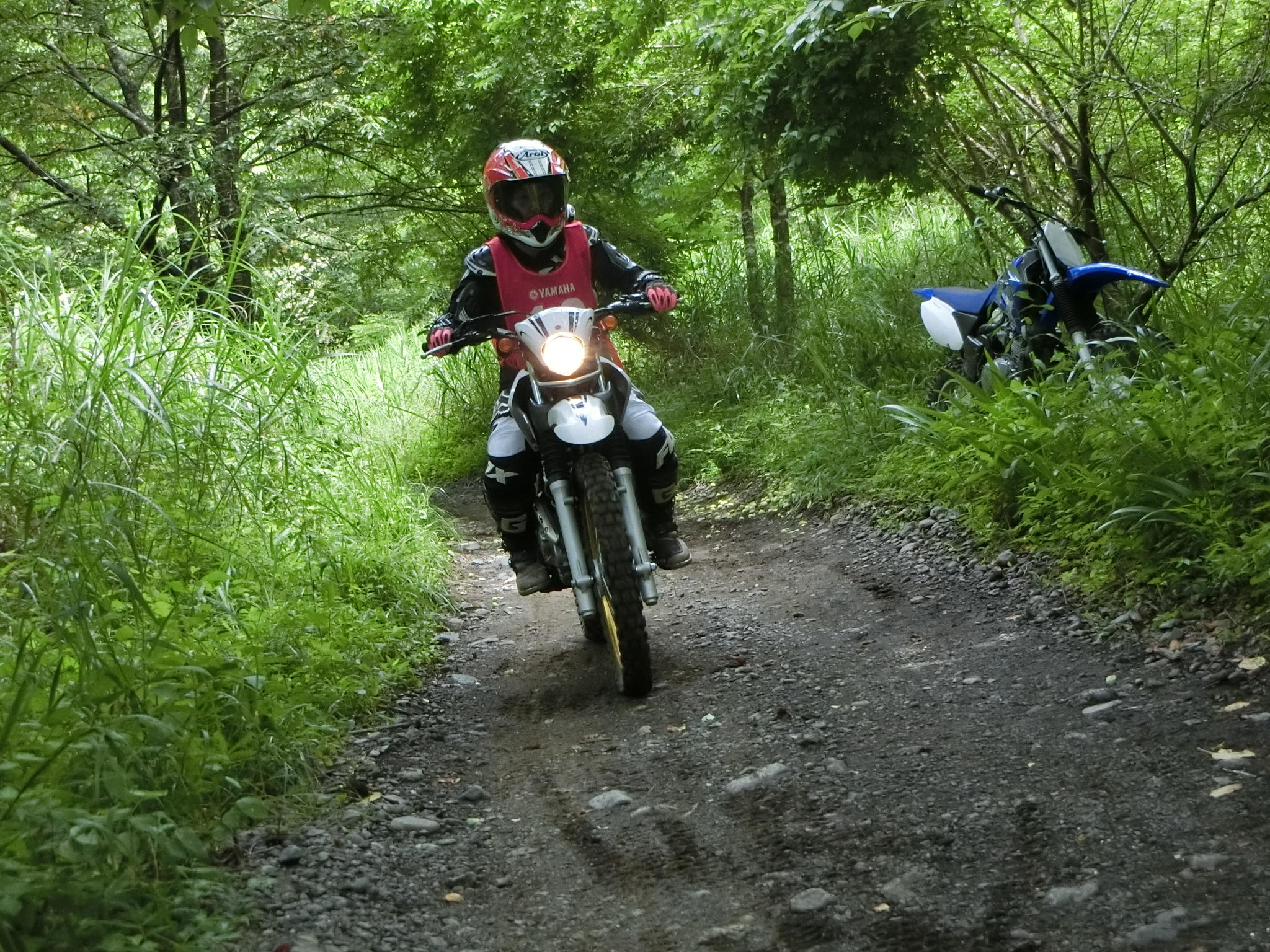 バイクで走ってみると乗り心地はかなりワイルド！？なけもの道