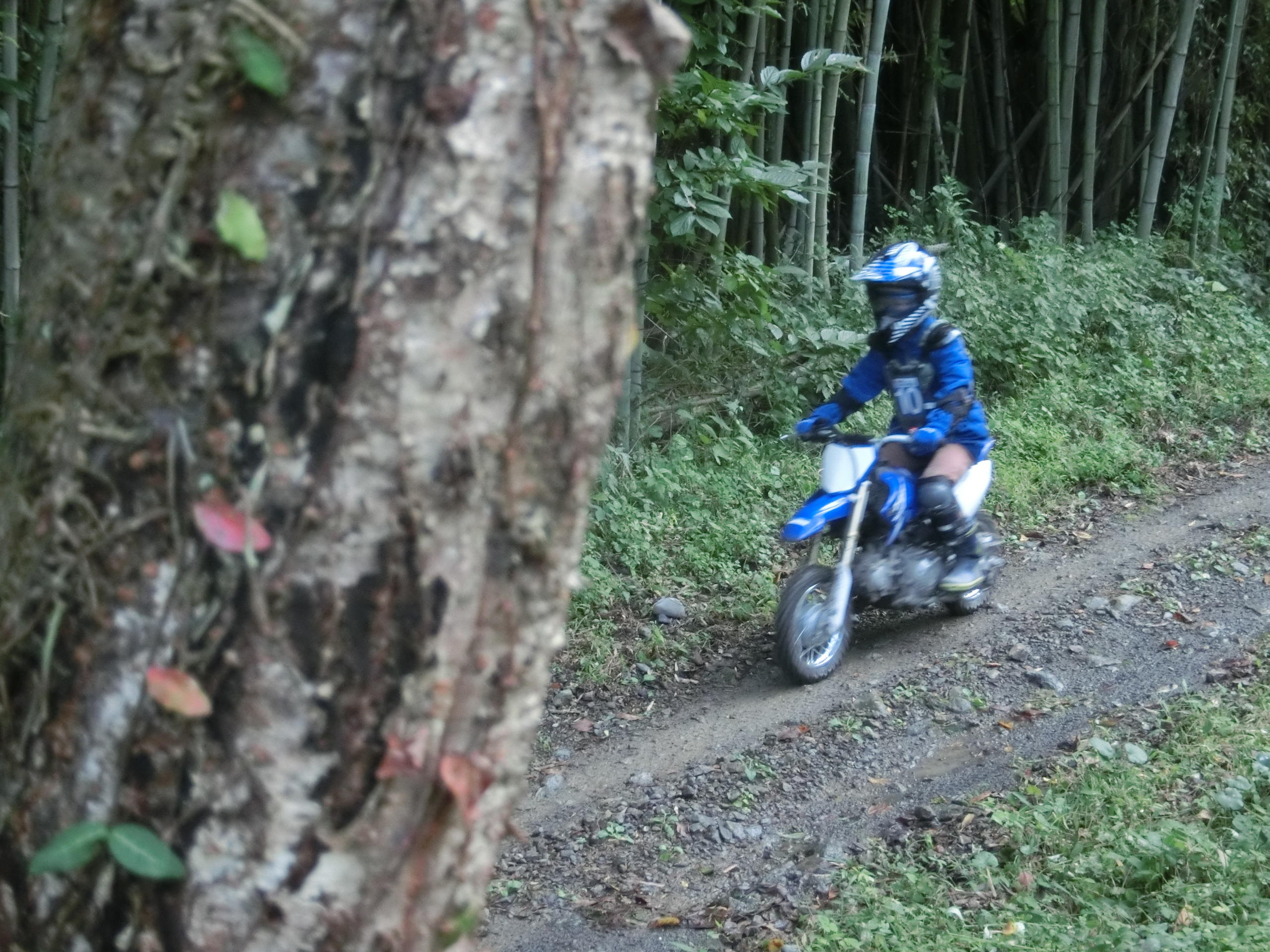 一瞬、バイクが通った