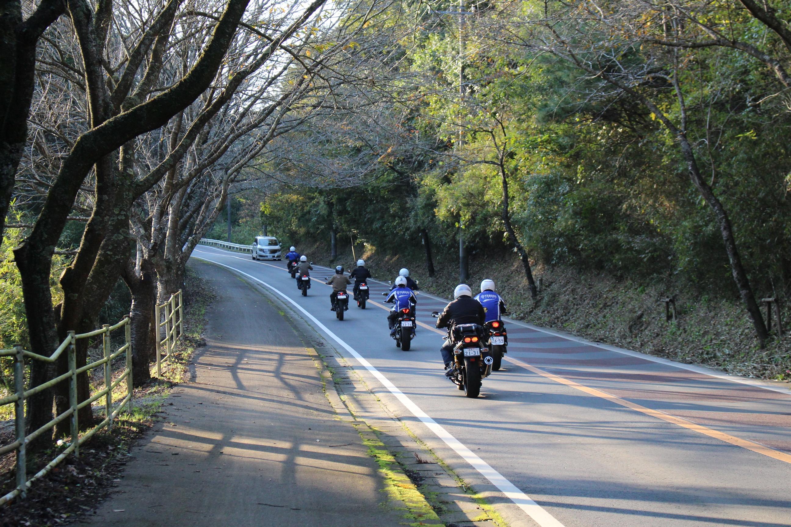 冬が近づく成田はひんやり冷たい風が吹く