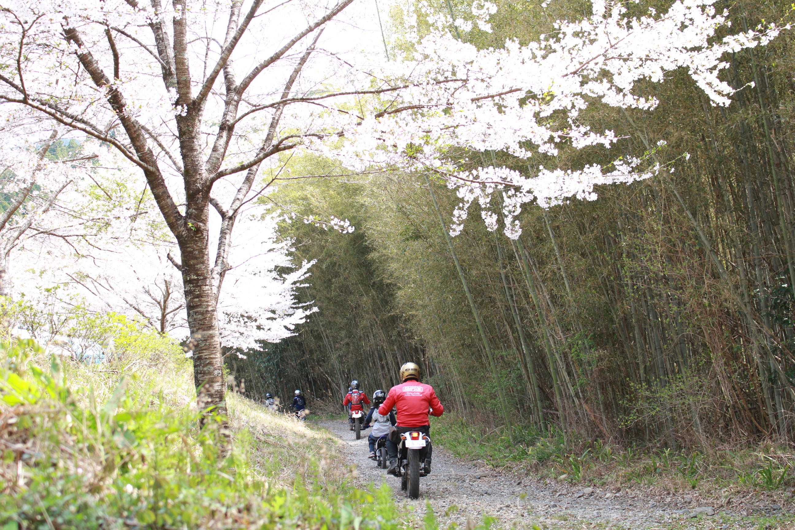 林道を抜け、教室が終了する頃にはお父さん、お母さんもくたくたになっていました