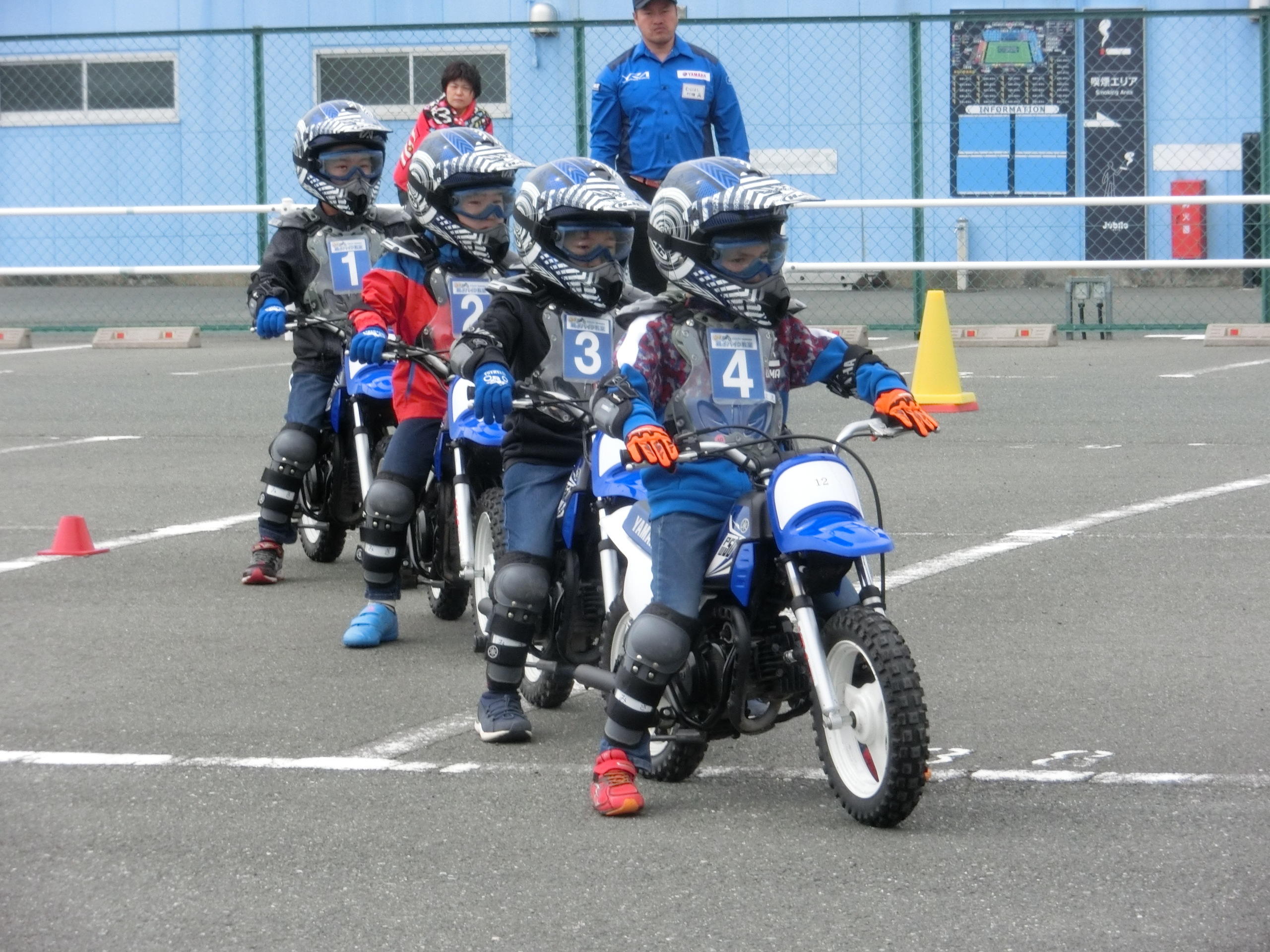 並ぶとカルガモのようにかわいい子供たちも