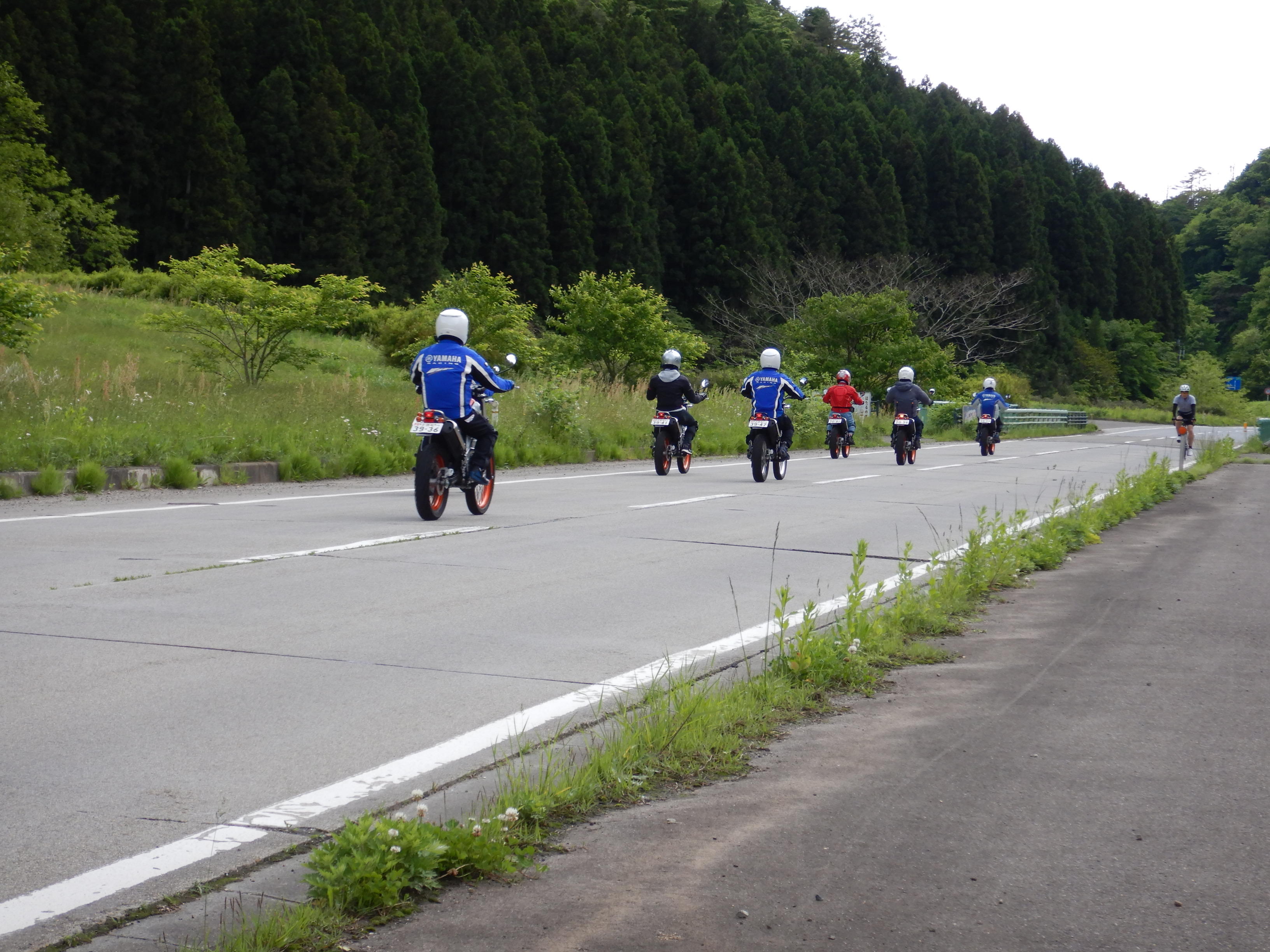 この坂道でカモシカに遭遇 Ｏ(≧∇≦)Ｏ !!