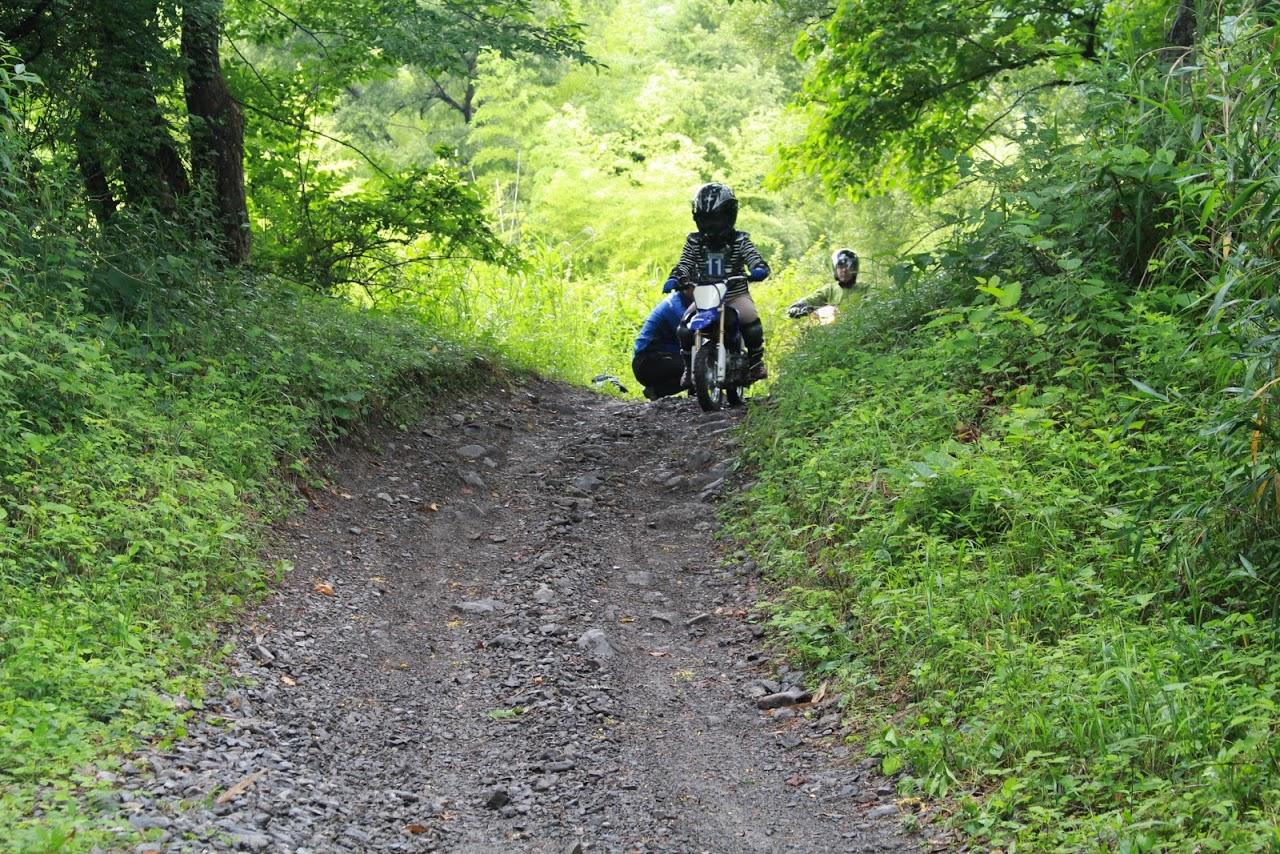 林道の中では、こんな坂道