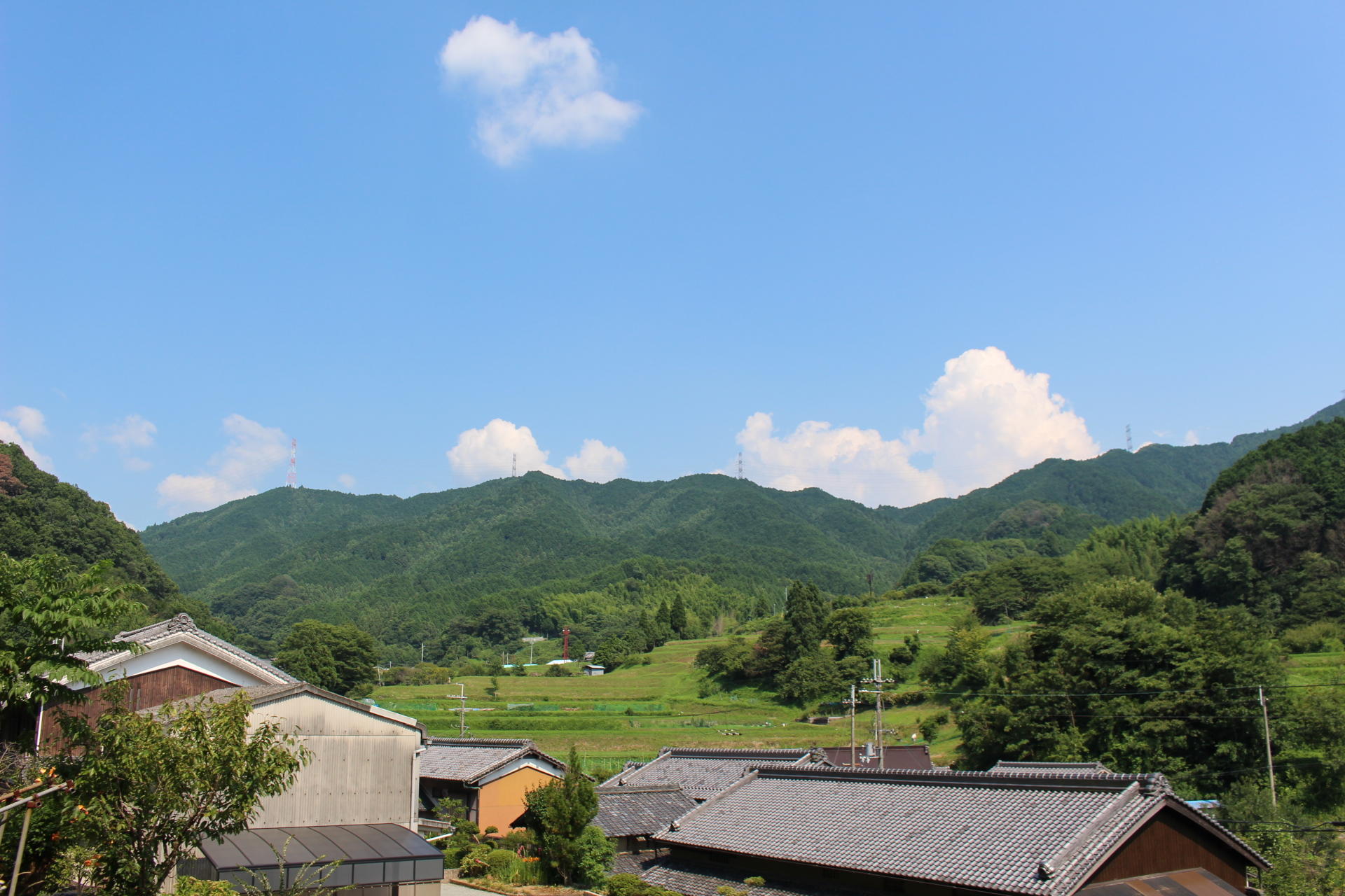 青空と緑が最高！