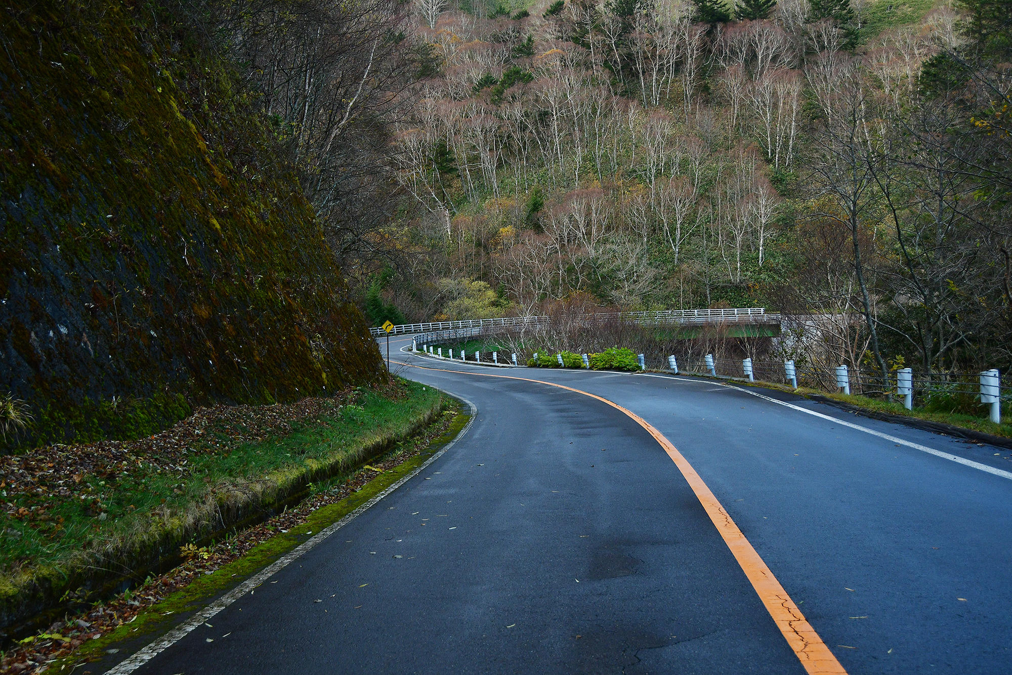 路面うねうね