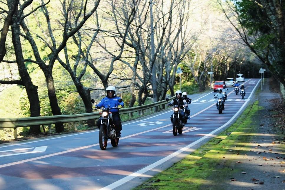 下の写真の場所は、春には桜のトンネルになるとのこと。