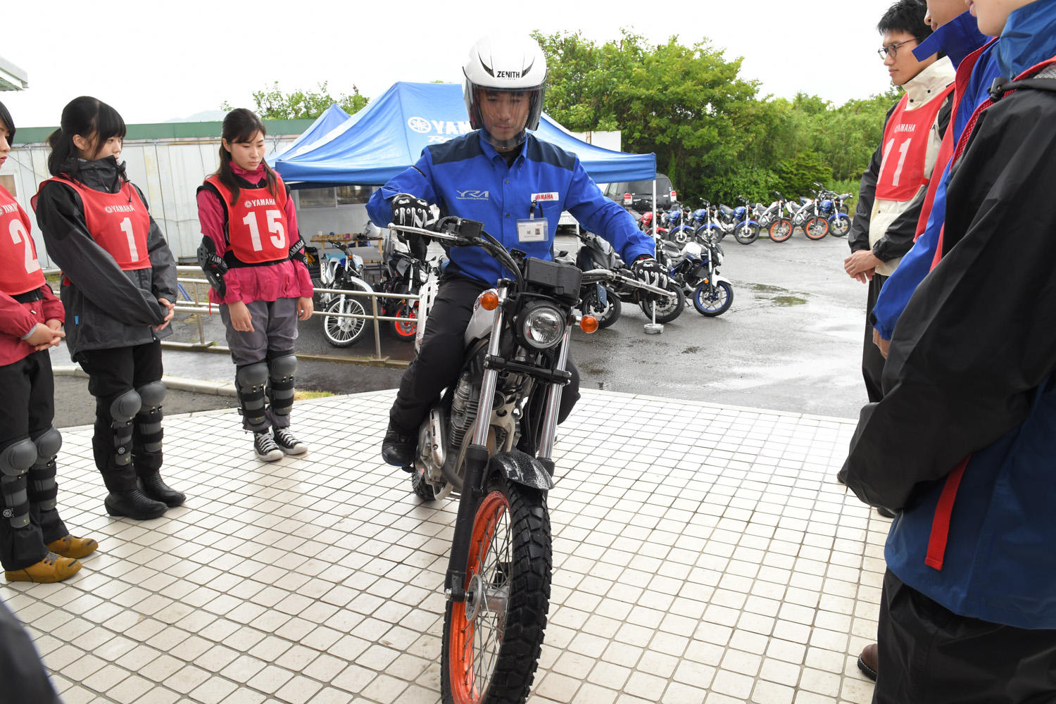 経験豊富なイントラ