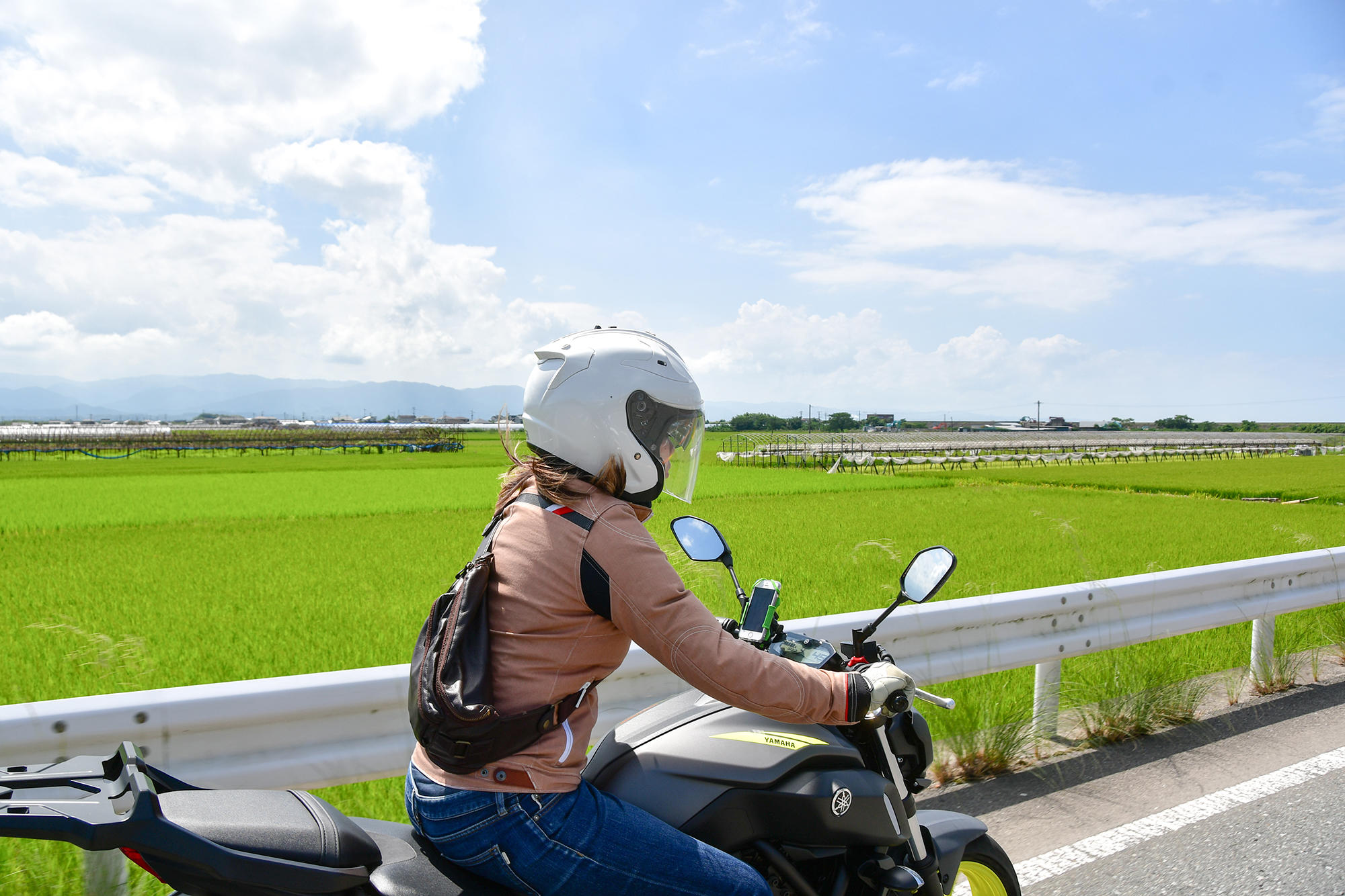 稲穂の緑と空の青とのハーモニーが清々しいこと！ 