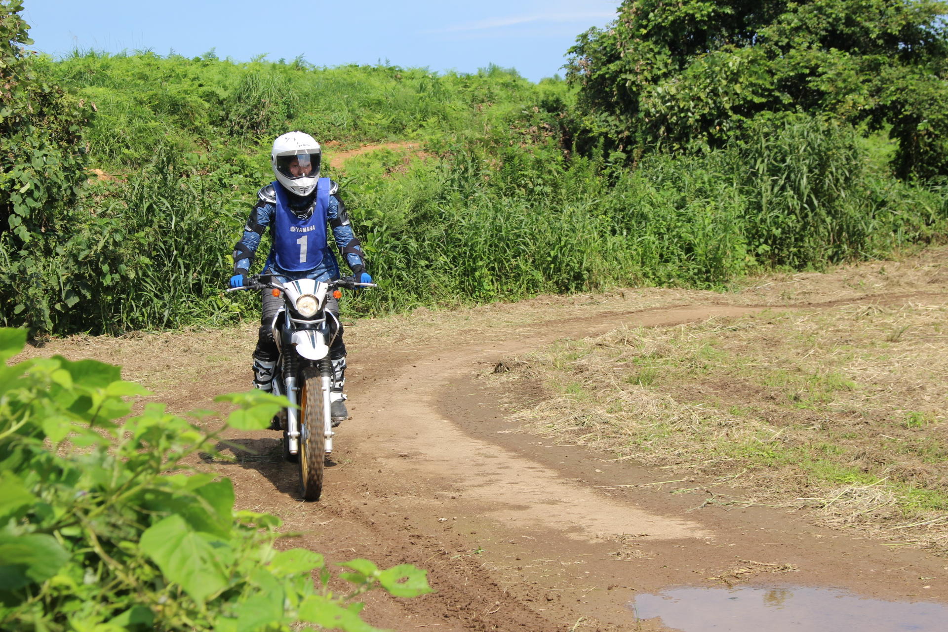 僕らはオフロードバイクが好いとっとー この夏セローで林道ツーリングに行ったらカモシカに出会ったよ ヤマハ バイク ブログ ヤマハ発動機株式会社