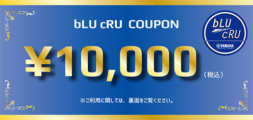 ◎bLU cRU賞