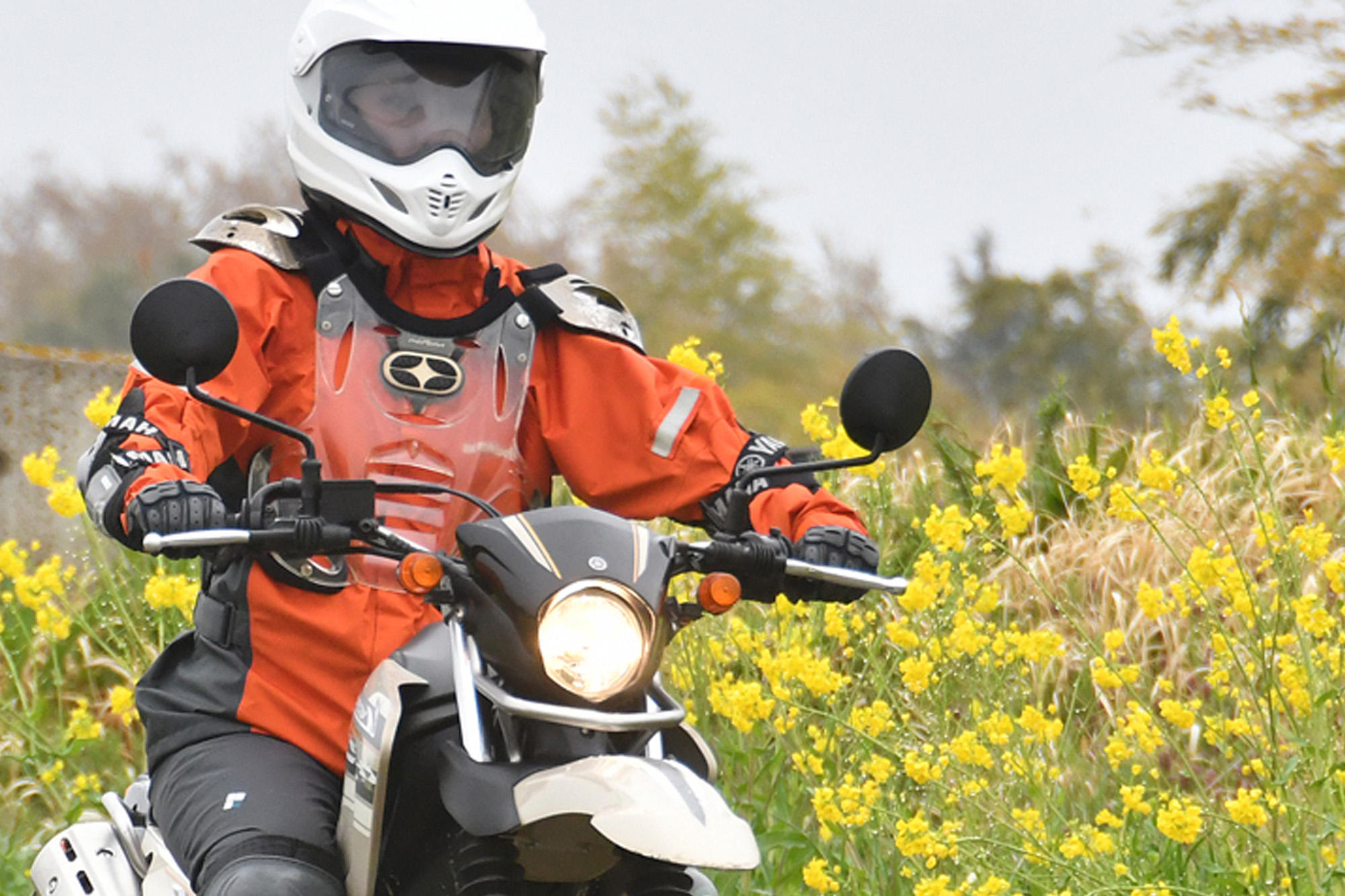 春真っ盛り！　バイクに乗るには少し肌寒かった季節から気持ちいい季節がやってきましたね