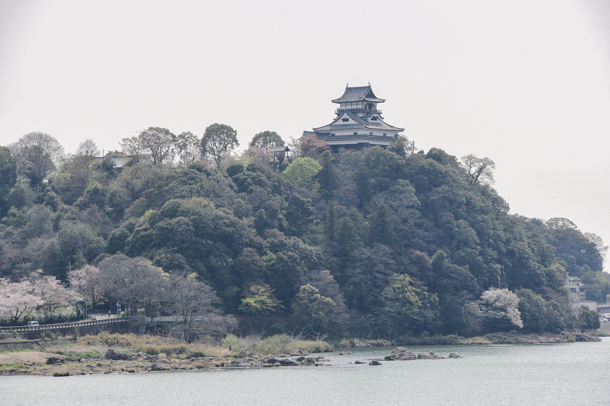 近くの木曽川を挟んだ反対側に犬山城が見えます。