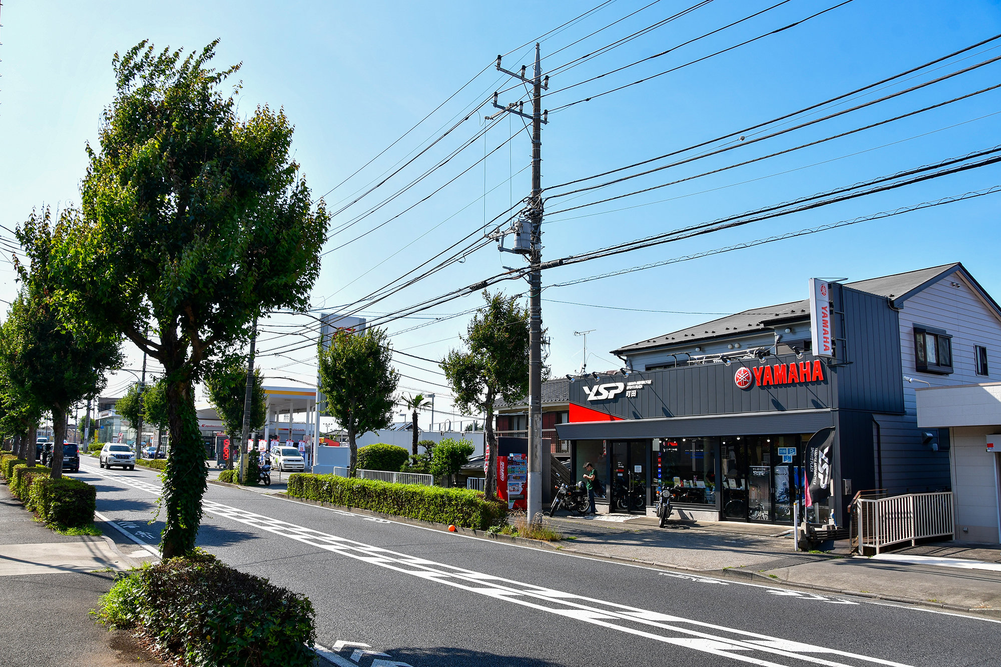 「神奈川県との境に位置しているので、国道246号近辺の青葉区や緑区といった横浜市からも来店いただくなど、以前から商圏が広い店舗でした。