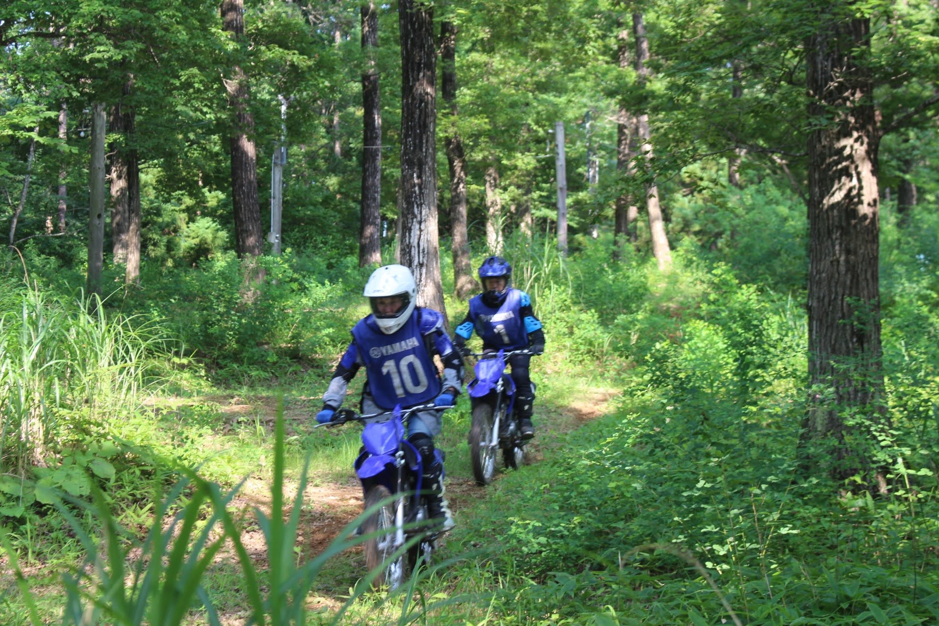 森の中をオフロードバイクでトレッキング